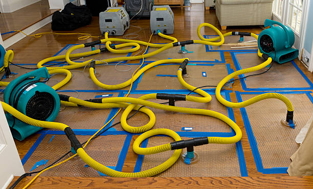 Professional Sewage Cleanup technician working in Glendale, CA